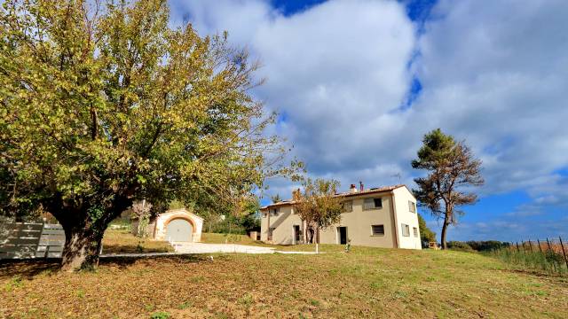 SIROLO-ESTERNE-03--vigneto-di-montefreddo SIROLO-ESTERNE-03--vigneto-di-montefreddo